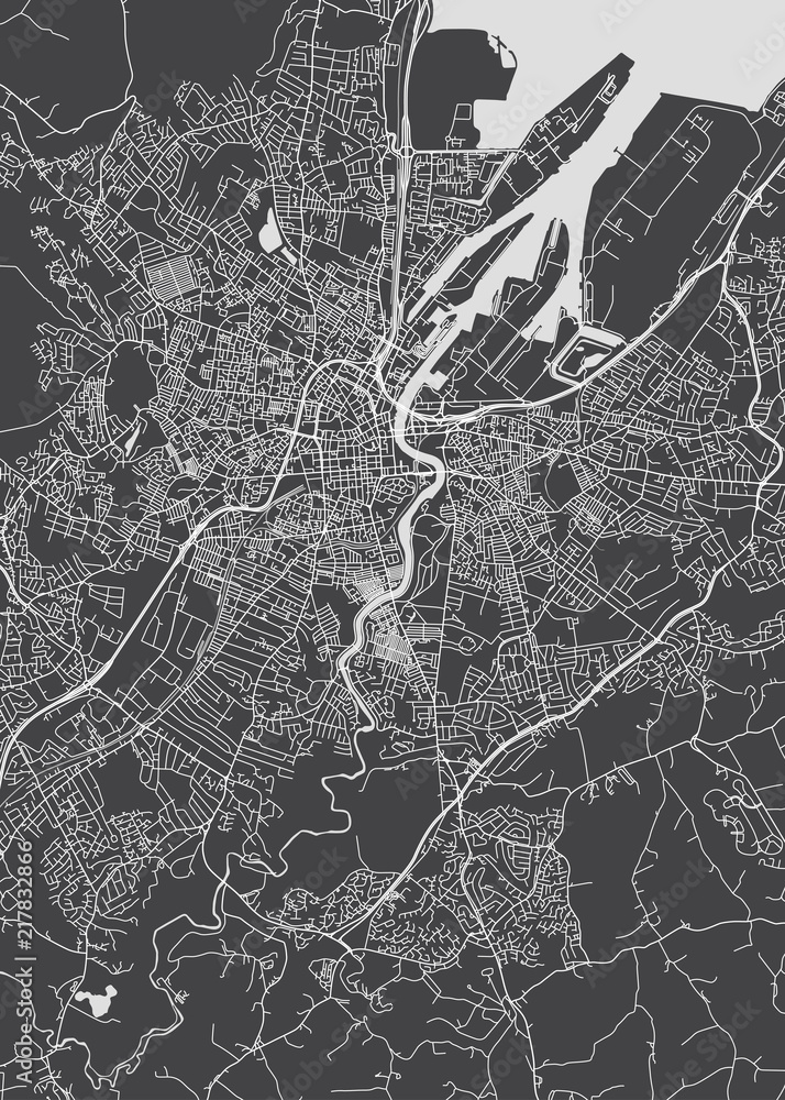 Monochrome detailed plan city of Belfast