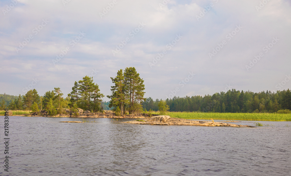 A deserted island with reeds. The best place for fishing. Silence. Wild nature. A deserted island with reeds. The best place for fishing. Silence. Wild nature.
