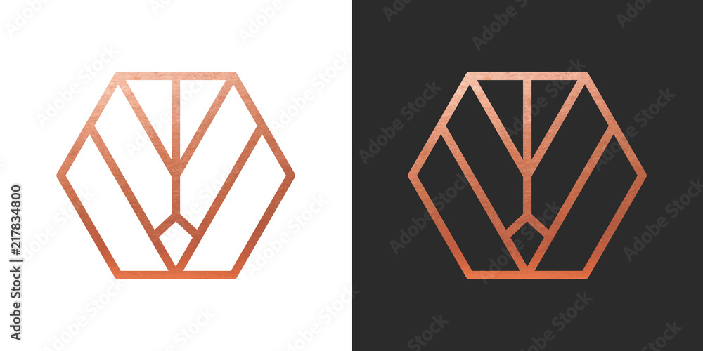 Copper geometric hexagon Logo Shape. Vector Icon. Copper geometric hexagon Logo Shape. Vector Icon.