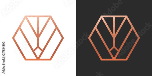 Copper geometric hexagon Logo Shape. Vector Icon.