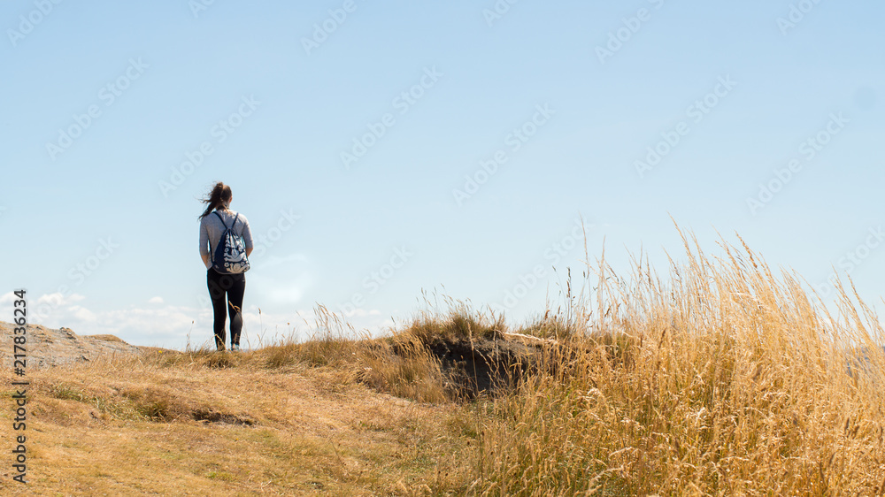 wanderer wanderer