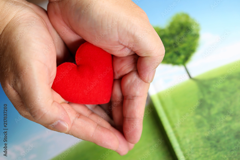 Hands holding red heart, health care, donate and family insurance concept,world heart day, world health day Hands holding red heart, health care, donate and family insurance concept,world heart day, world health day