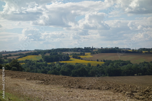 Paysage de campagne