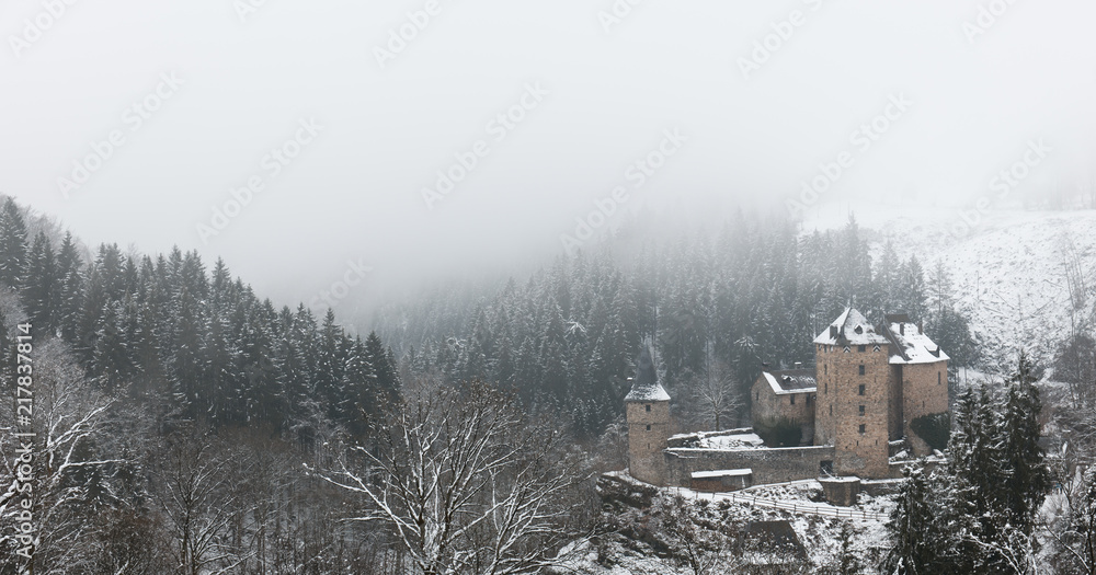 Old Castle in snow and fog