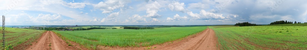Panorama of a meadow with green grass and trees