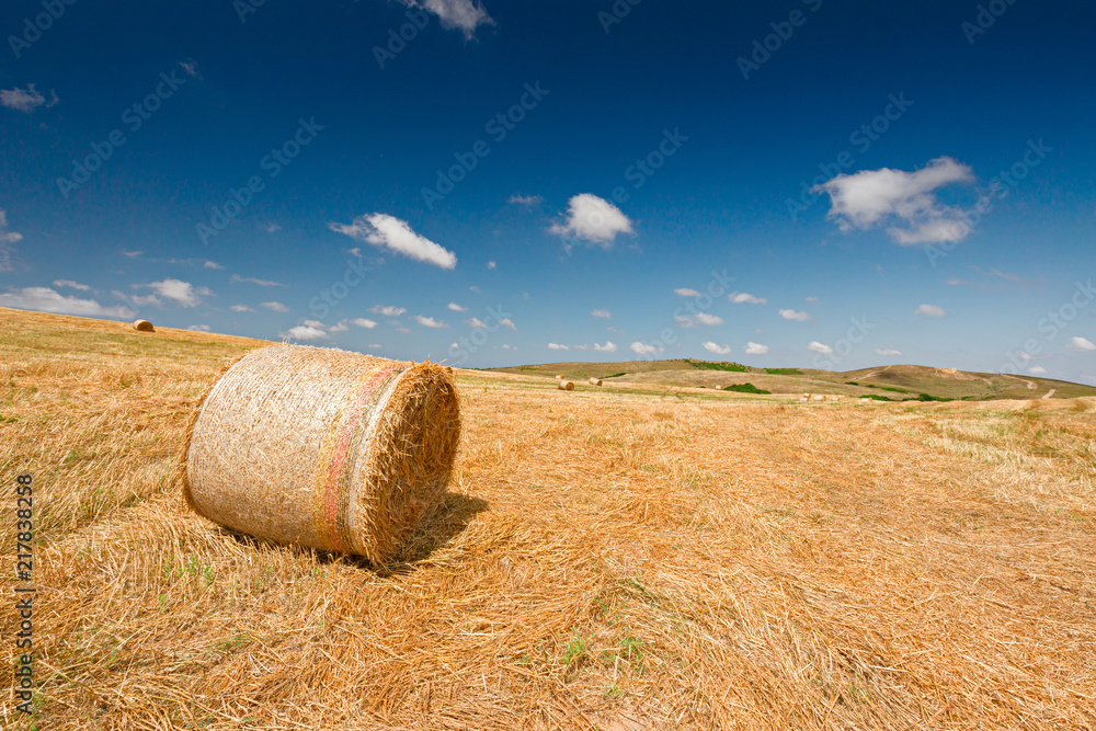 Panoramic view of a wheat field after harvest, with rolled straw bales.