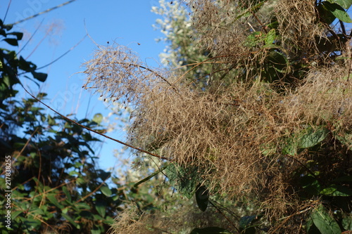 A la campagne