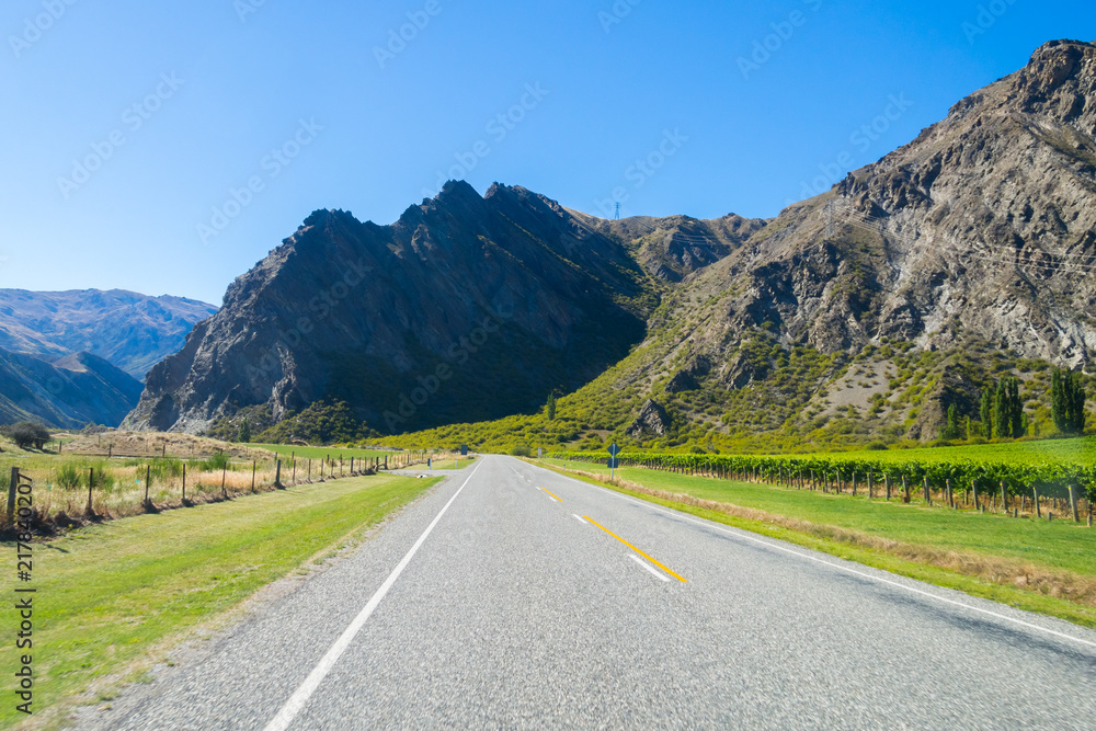 Rural Scene of Asphalt Road with Meadow and Mountain Range, South Island, New Zealand