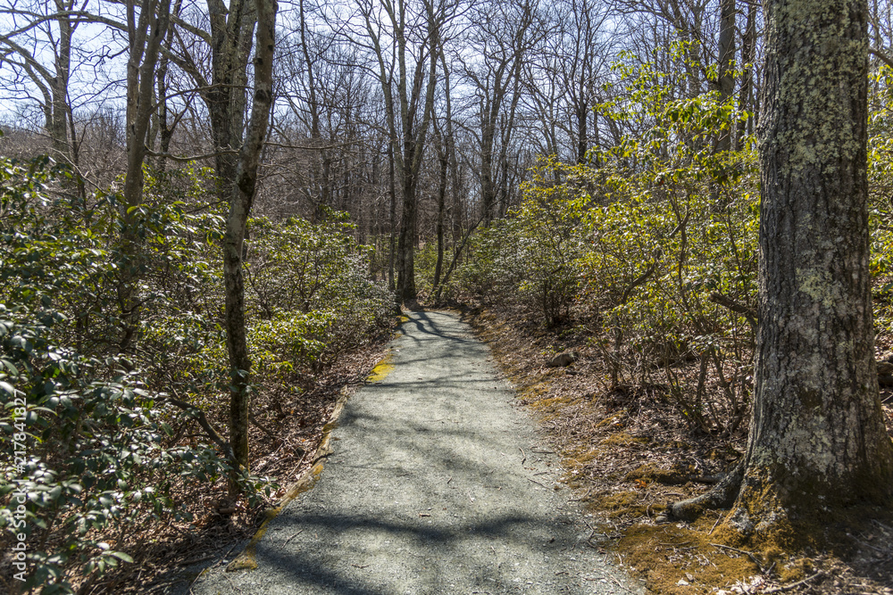 Obraz premium Handicapped accessible trail path 