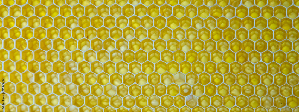 Close up of honeycomb. fresh honey in cells. Drops of honey flow down.