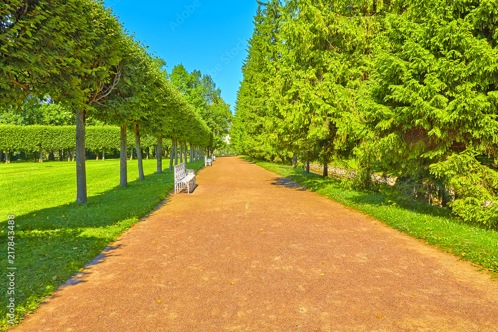 Park of Pushkino. Petersburg.