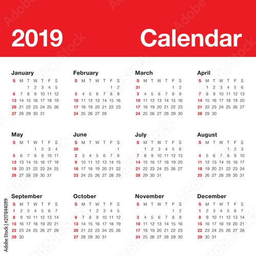 Year 2019 calendar vector design template
