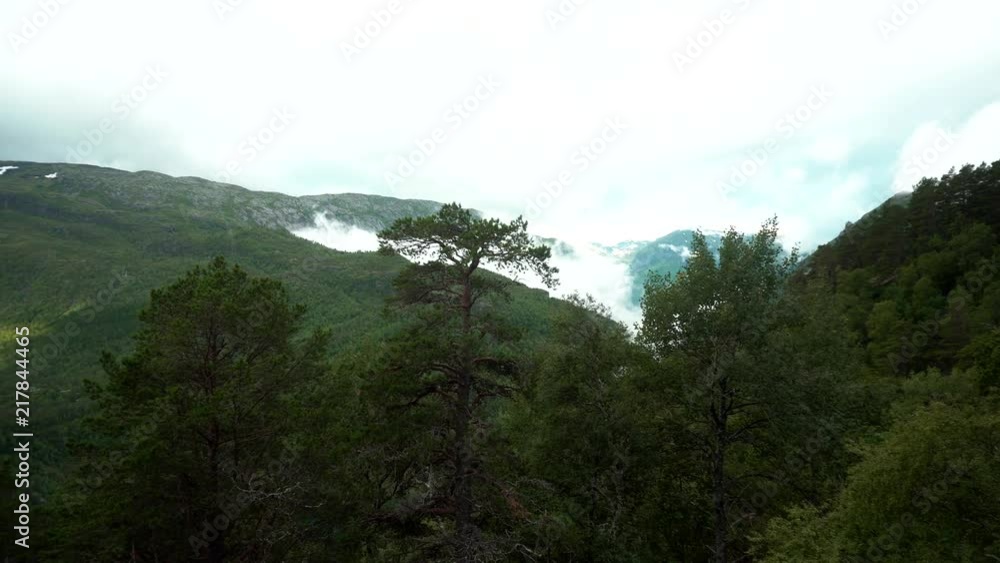 Beatiful view of lower part of the Path to Trollutnga in Norway, Telemark.
Trees, fog, lake and clouds. Beatiful view of lower part of the Path to Trollutnga in Norway, Telemark.
Trees, fog, lake and clouds.