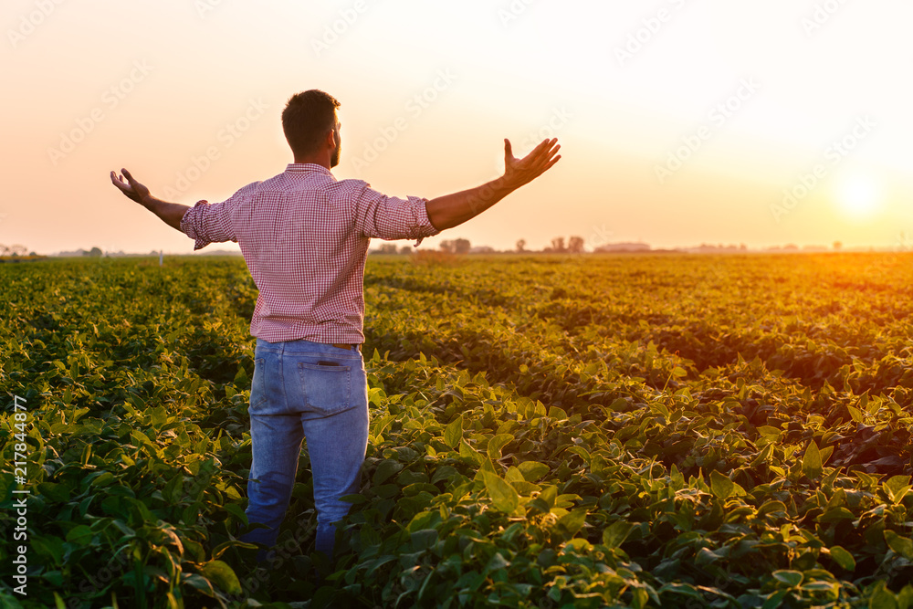 Portrait of young farmer standing in soybean field with his arms outstretched at sunset. Portrait of young farmer standing in soybean field with his arms outstretched at sunset.