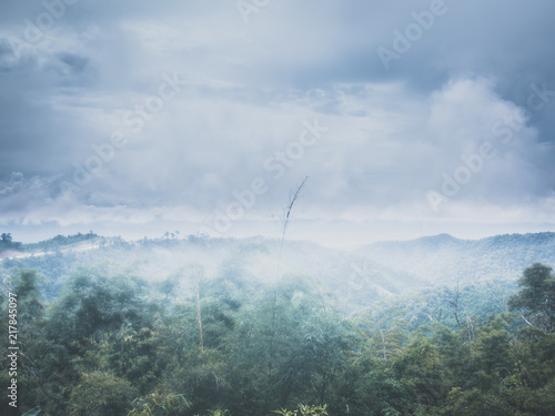 Landscape mountain and forest in the mist with sky and clouds background on sunshine.