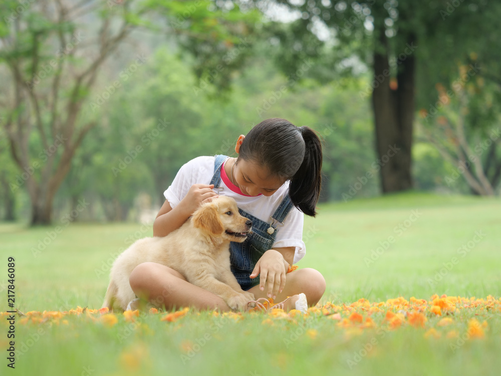 Fototapeta premium Little asian girl playing with a cute golden retriever dog in the park.