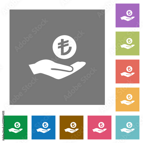 Turkish Lira earnings square flat icons