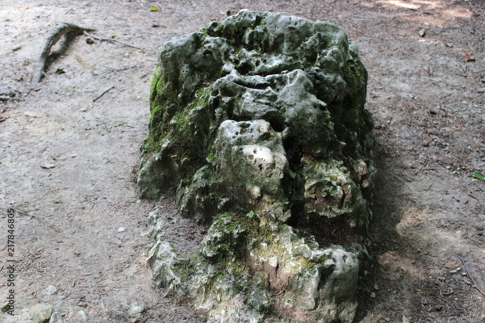 Obraz premium Kamień