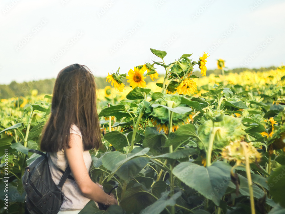 Woman looking into the distance in the field of sunflowers Woman looking into the distance in the field of sunflowers