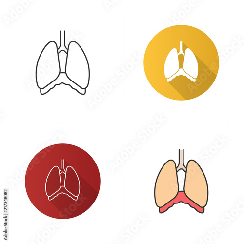 Thoracic cavity icon