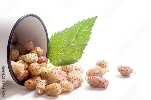 Photos White cup with white mulberry fruit and leaf isolated on white.