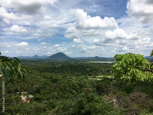 Panorama of the Sri Lanka jungles. Landscape of green jungles on the Sri Lanka island. Mountains on the horizons line. 