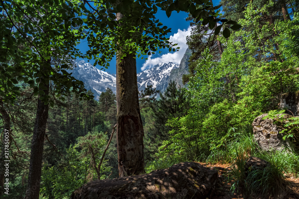 Fototapeta premium Tsej gorge, mountains of the Caucasus.