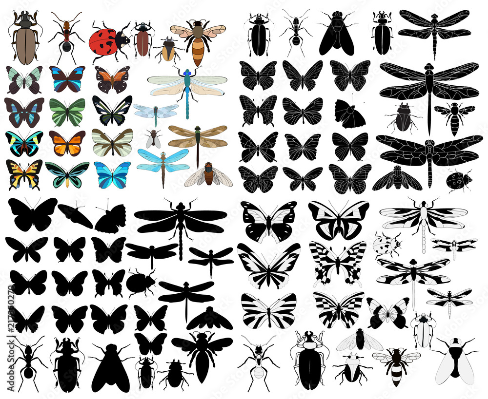 vector, isolated, large set of insects, silhouette vector, isolated, large set of insects, silhouette
