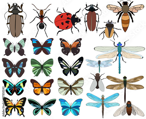 vector, isolated, a large set of insects