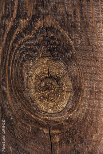 wooden plank. Texture