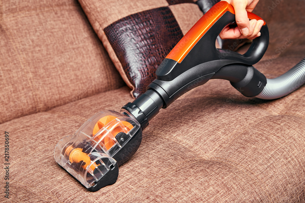 Crop person using handheld vacuum cleaner at home and washing sofa
Crop person using handheld vacuum cleaner at home and washing sofa