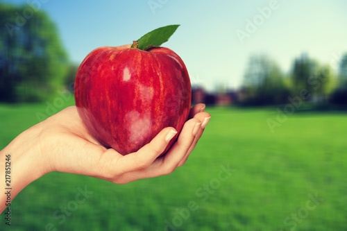 Woman hand holding big red apple