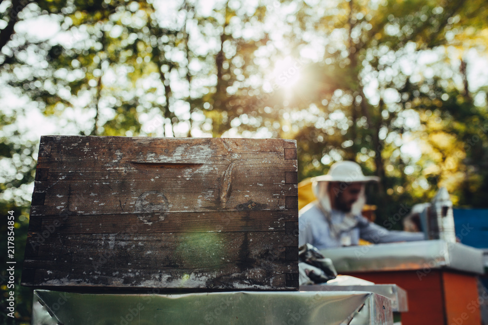 Beautiful light on apiary with beekeepers working and closeup of a honeycomb