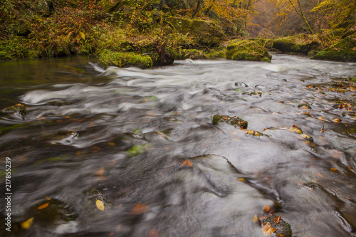 Kamenice River in Bohemian Switzerland National Park, Czech Republic. Autumn landscape