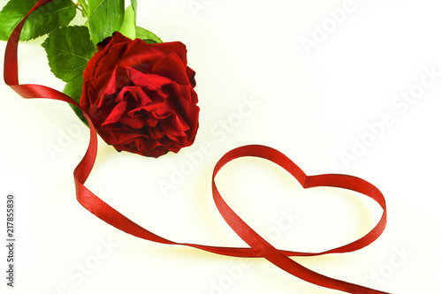 A romantic red rose on a white background with a ribbon in the shape of a heart photo