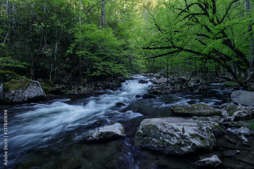 Flowing through Shadows Flowing through Shadows