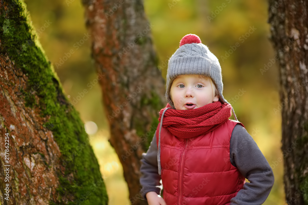 Little boy during stroll in the forest at sunny autumn day Little boy during stroll in the forest at sunny autumn day