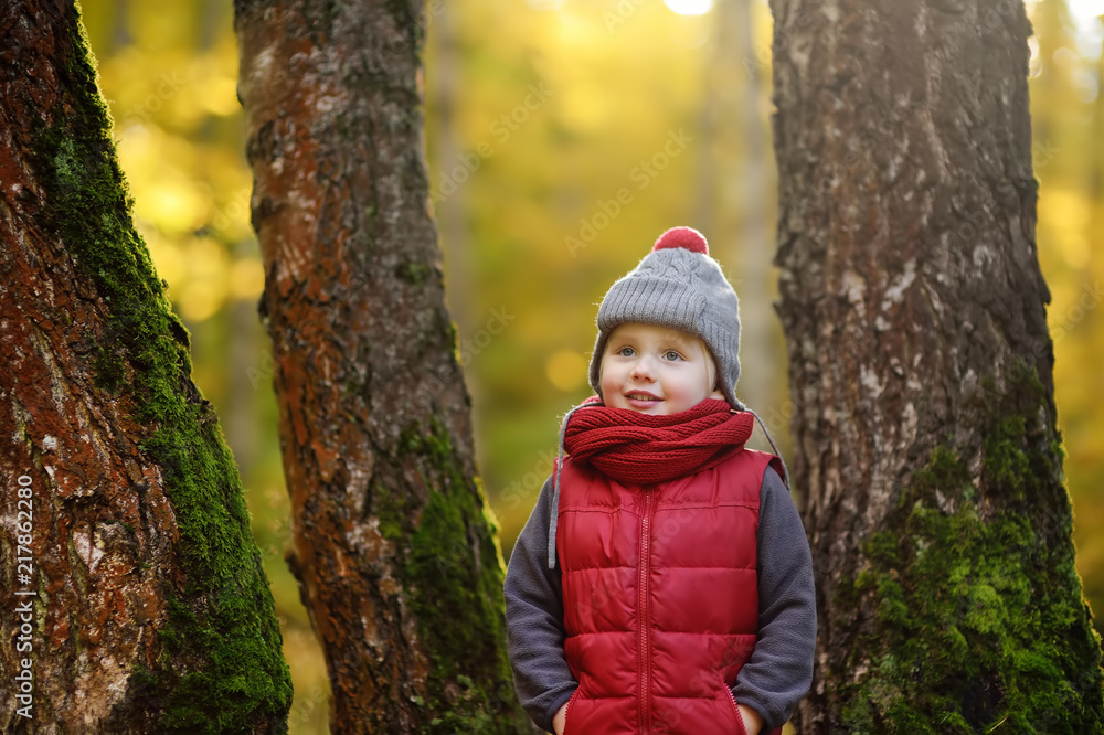Little boy during stroll in the forest at sunny autumn day Little boy during stroll in the forest at sunny autumn day