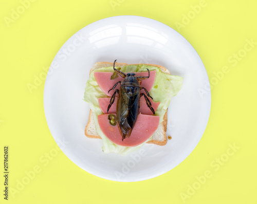 A fried Giant Water Bug - Lethocerus indicus on sandwich toast on yellow background. © milkovasa