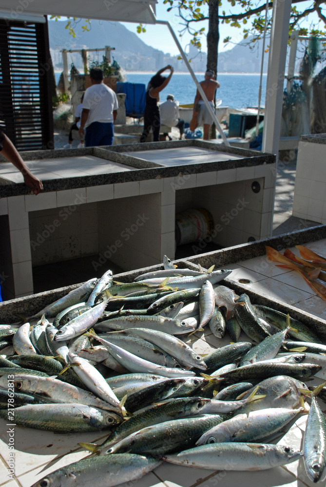 Fresh fish caught in Rio de Janeiro, fishmongers in Copacabana