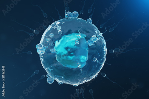 Photos Sperm and egg cell, ovum