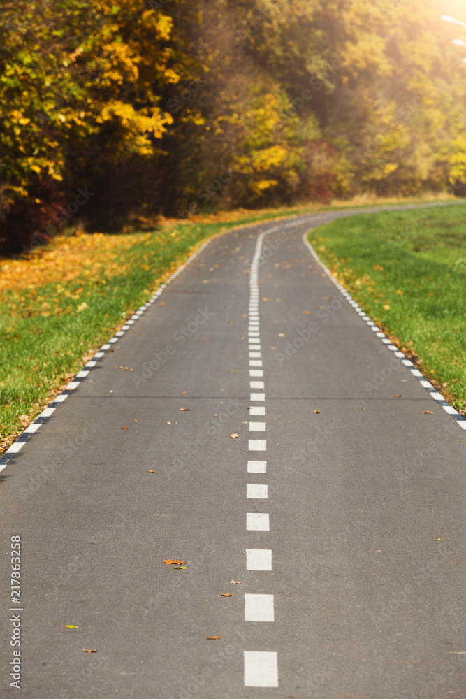 Fall scene at countryside road with golden trees and leaves