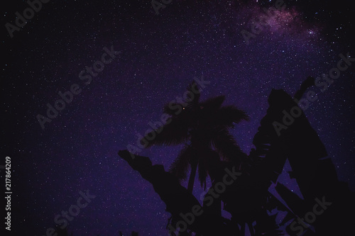 Silhouettes of coconut trees with southern hemisphere Milky Way stars. 