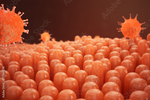 3d illustration Intestinal villi. Intestine lining. Microscopic villi and capillary. Human intestine. Viral infection causing chronic disease. Hepatitis viruses, influenza virus, cell infect organism. photo