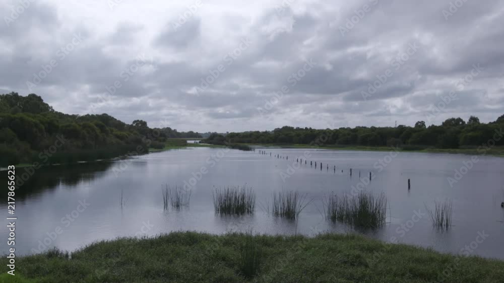 Wetlands and Wildlife on a cloudy day, Perth, Australia Wetlands and Wildlife on a cloudy day, Perth, Australia