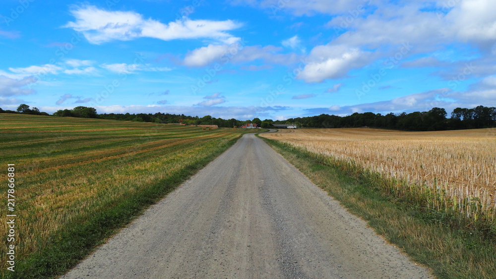 Road through field