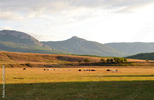 Mount the Boyka in the Crimea near the village of Sokolinoe photo