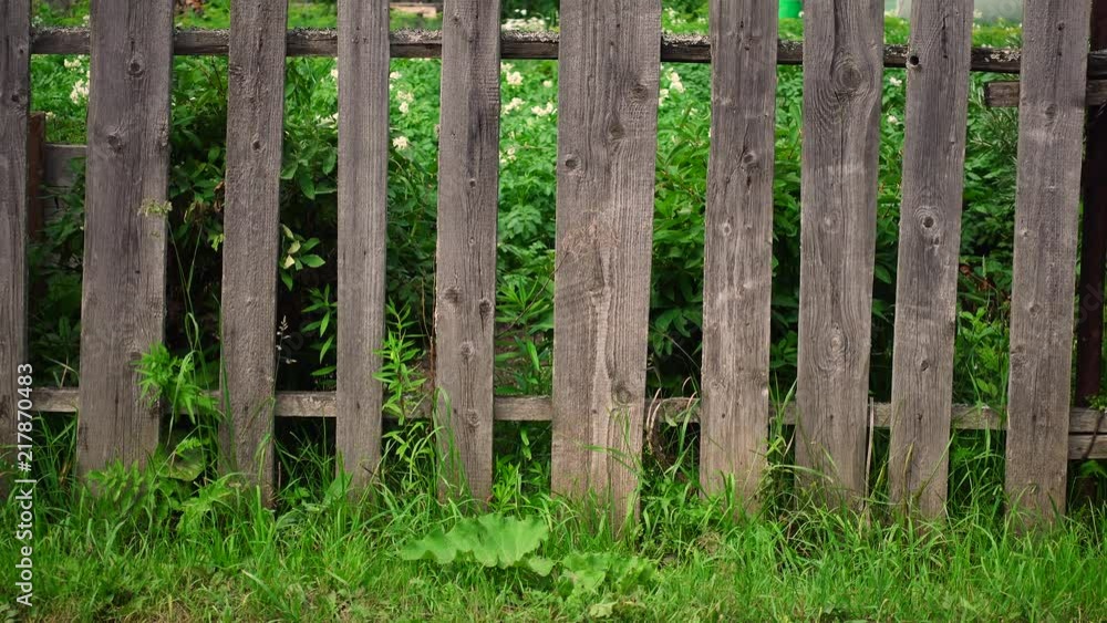 Old wooden fence as a backdrop or background. Old wooden fence as a backdrop or background.