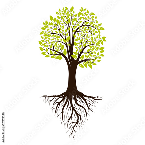 Green tree silhouette. Isolated on white background. Vector