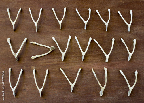 	Wishbone, arranged in several rows